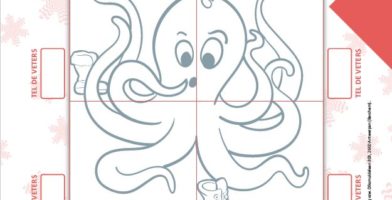 Concept Flits