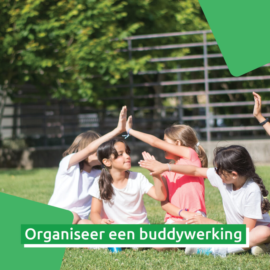 Organiseer een buddywerking