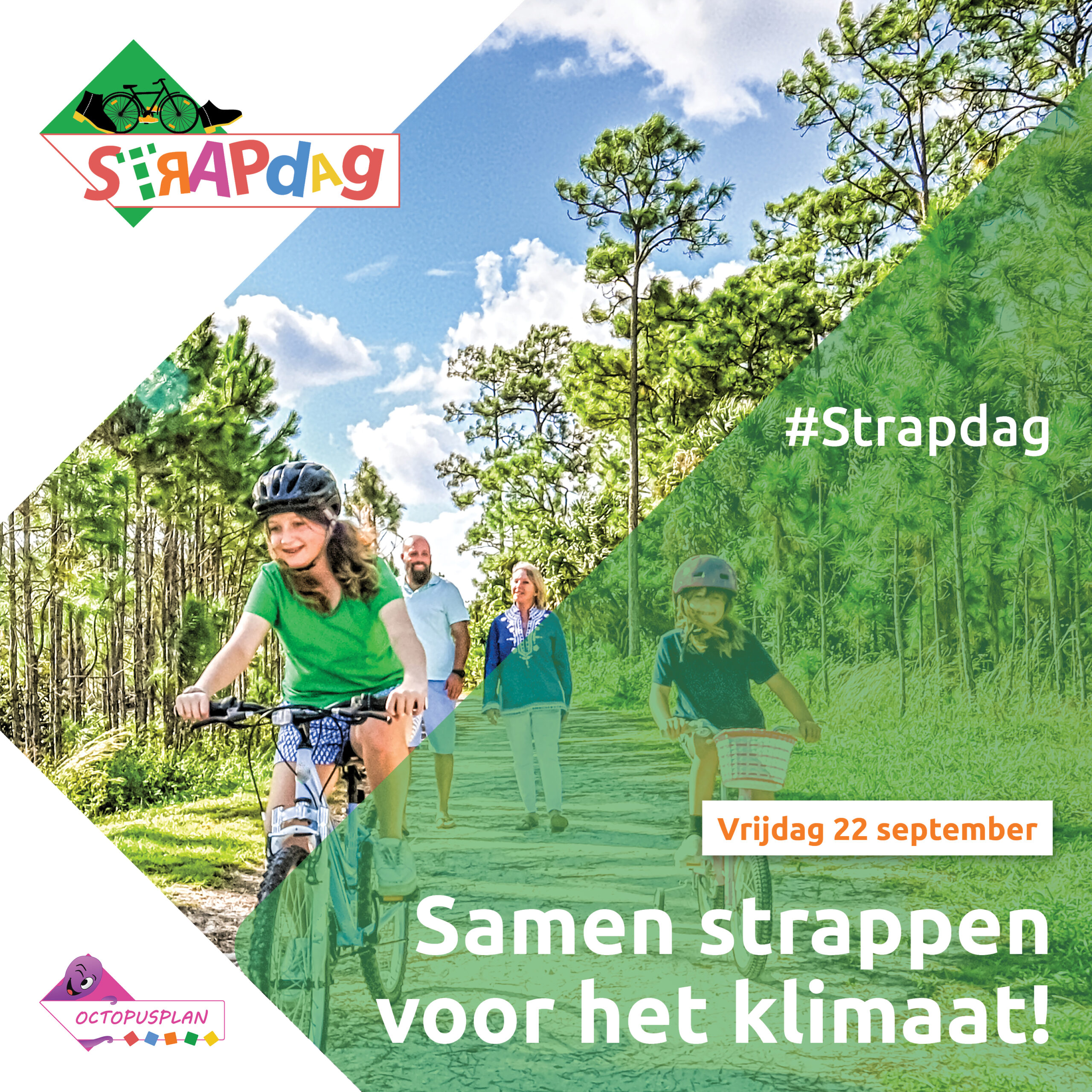 downloads Strapdag post instagram